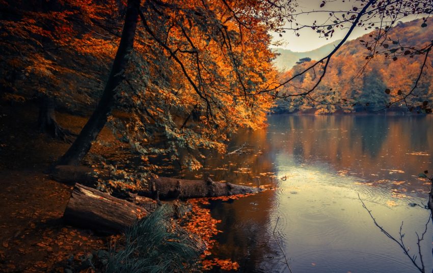 The leaves are beginning to turn colors and the towns and villages here on the Central Oregon coast seem to look even cozier than in the midst of the summer flurry of guests and visitors who come and go.